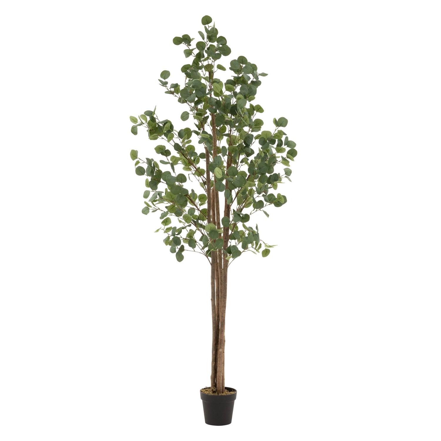 ML-Design Künstliche Eukalyptus 210cm Groß Kunstpflanze Naturholzstamm günstig online kaufen