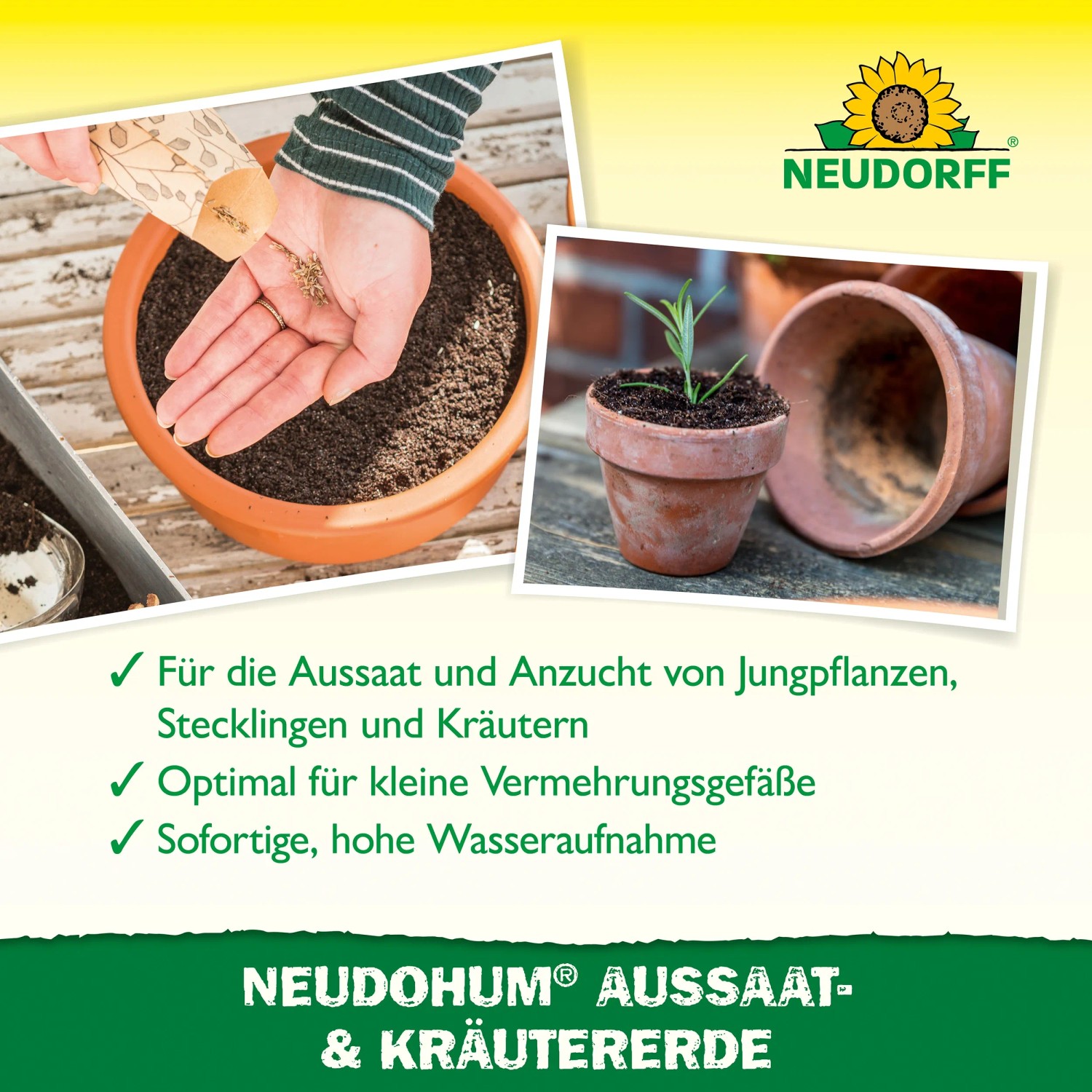 Neudorff Neudohum Aussaaterde: Hände säen Samen in einen Topf mit Anzuchterde, Jungpflanze im Topf.