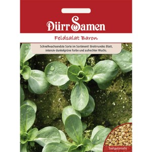 Dürr Samen Feldsalat Baron: Saatguttüte mit Feldsalatpflanzen und Saatgutansicht.