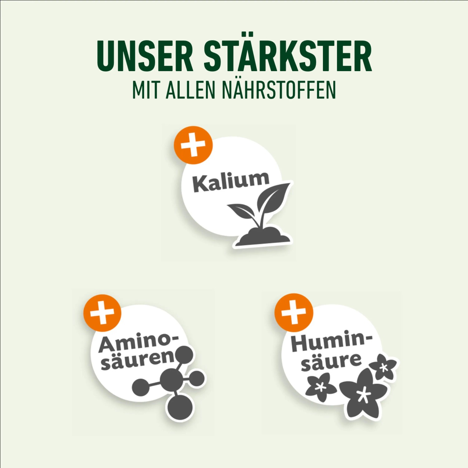 Compo Bio Universaldünger: Grafik mit Kalium, Aminosäuren und Huminsäure als Inhaltsstoffe.