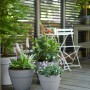 Elho Blumentopf Vibia Campana, Ø 20 cm, Living Beton, mit Pflanzen auf einer Terrasse.