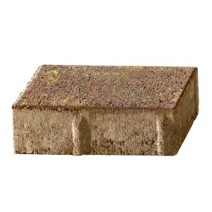 Rechteckiger Beton Pflasterstein in Herbstbunt, 20x10x6 cm, für Gartenwege und Einfahrten.