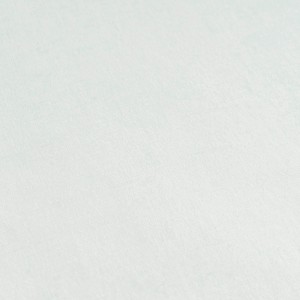 A.S. Creation Vliestapete Uni in Mint, glatte Oberfläche, Dekorative Tapete.