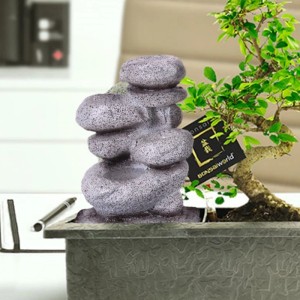 Vdvelde Bonsai Baum S Form   Zen Wasserfall   Inkl Schere Und Nahrung