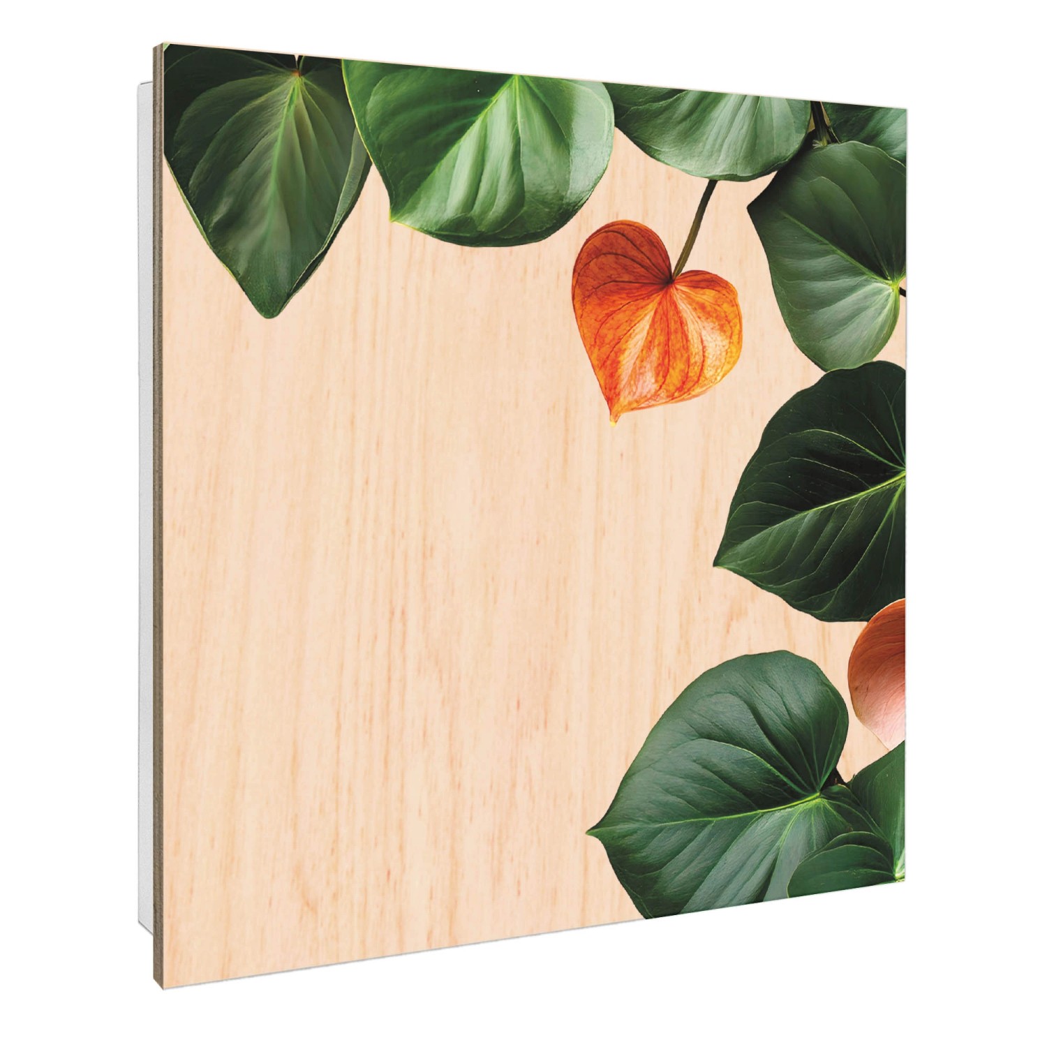 Banjado Großer Schlüsselbox Holz 30x30cm Weiß Scharnier Rechts 50 Haken Sch günstig online kaufen