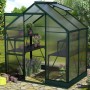 Vitavia Gewächshaus Apollo 2500 Smaragd mit Regalen, Pflanzen und geöffnetem Dachfenster.