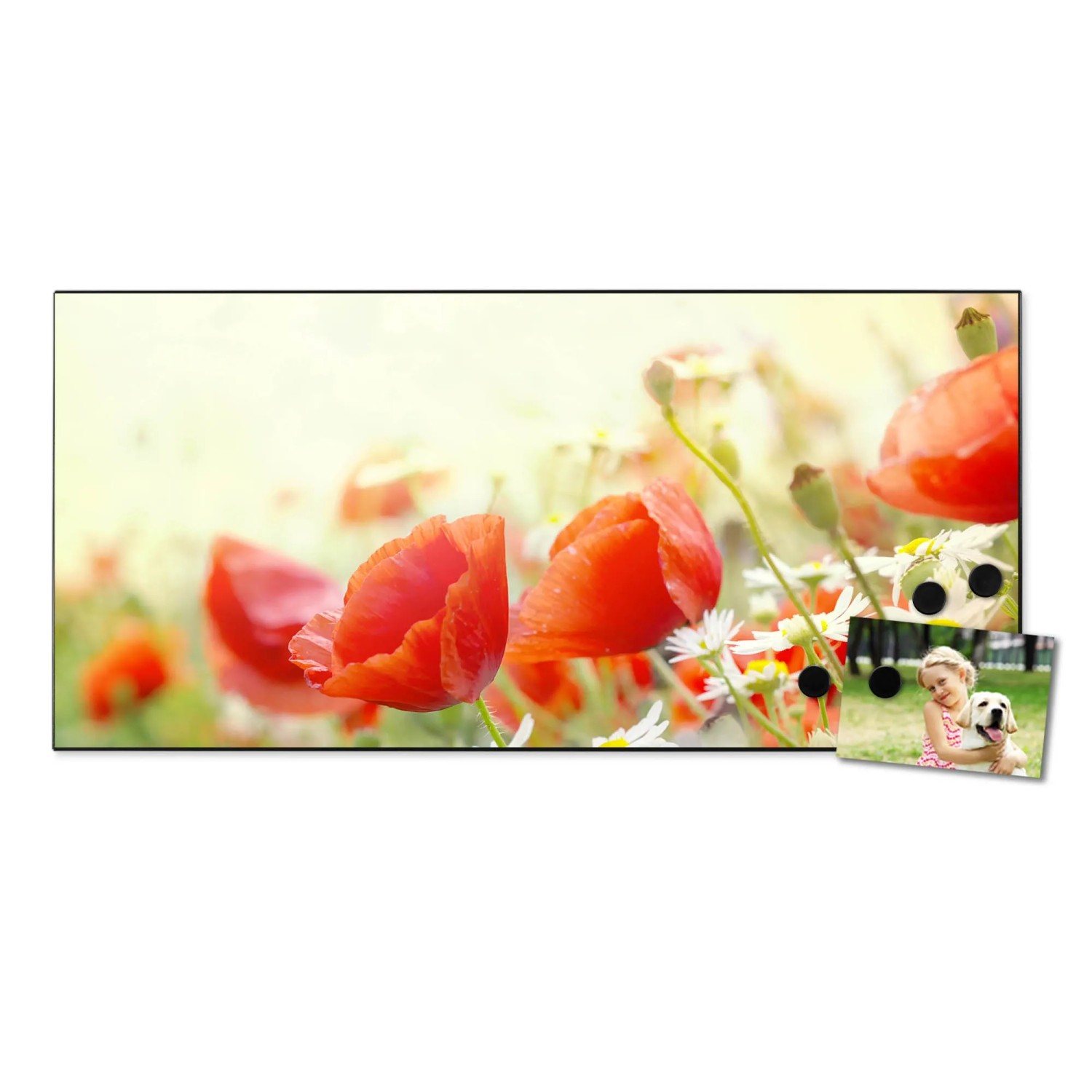 Banjado Magnettafel mit Mohn-Motiv, 78x37cm, inkl. Magnete und Foto als Wanddekoration.