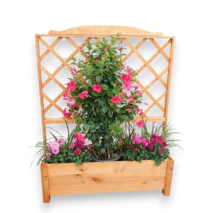 Botanica Rankkasten 110x32x140cm mit Kletterpflanze und Blumen im Pflanzkübel.