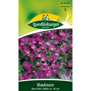 Quedlinburger Blaukissen Rosa-rot: Blühende Polsterpflanze für Steingärten und Beete.