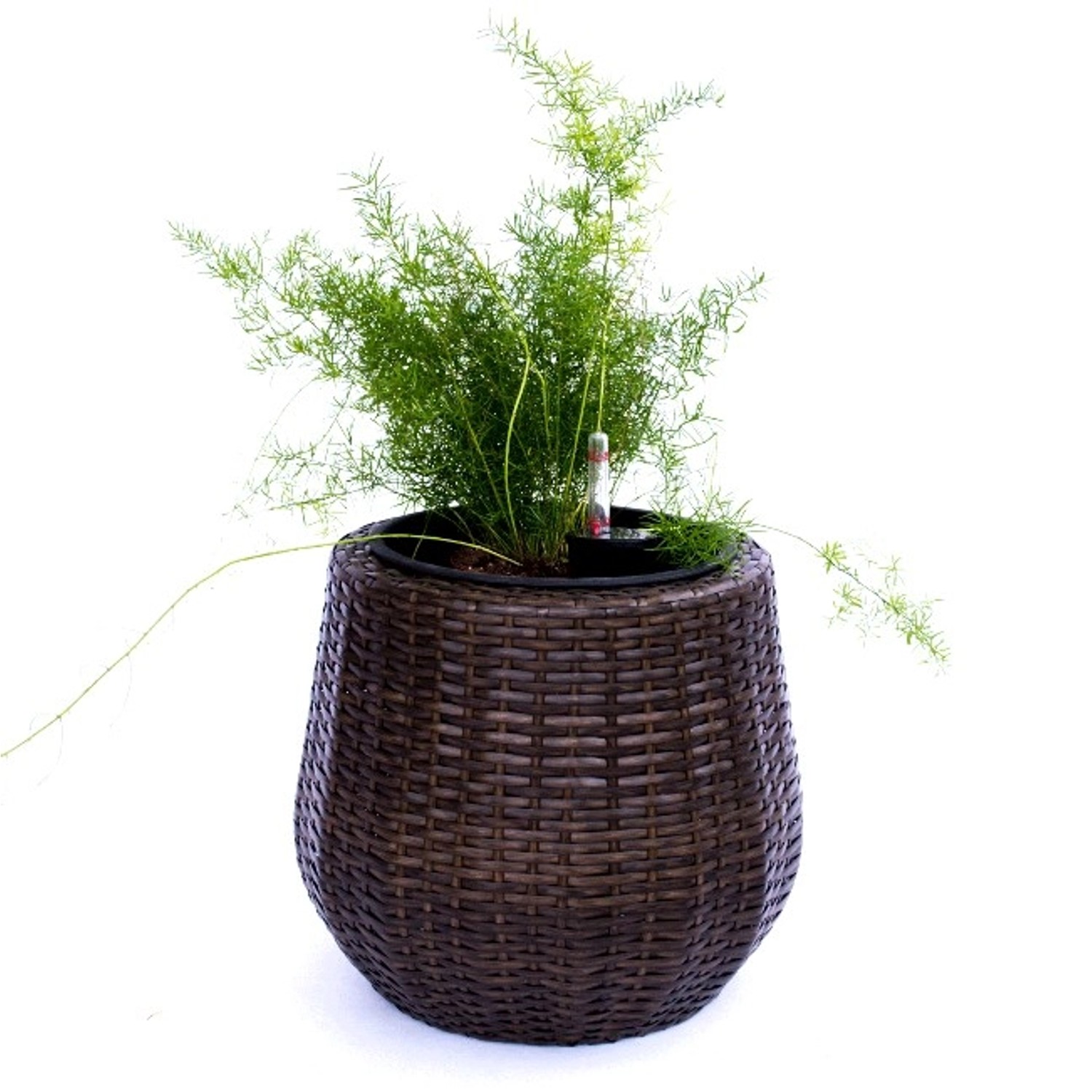 Elegant Einrichten Pflanzkübel Polyrattan Rund-Konisch D35xH32cm Mocca günstig online kaufen