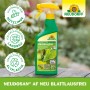 Neudorff Neudosan AF Neu Blattlausfrei, 250ml Sprühlösung gegen Blattläuse und saugende Insekten.