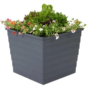 Hellbrauner WaterUps Pflanzkübel (48x48x43cm) mit Bepflanzung, ideal für Hochbeete.