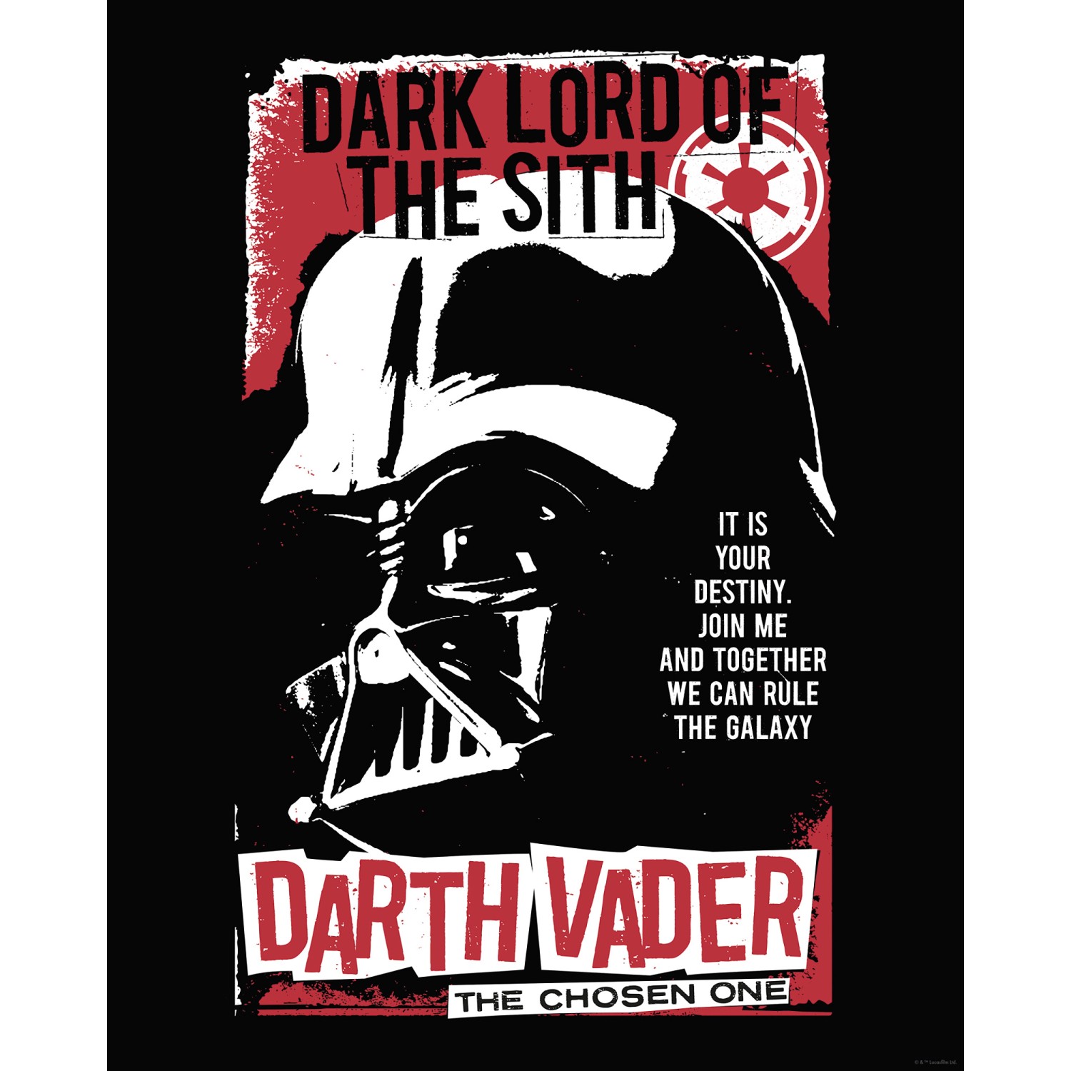 Komar Wandbild Star Wars Darth Vader The Chosen One 40 cm x 50 cm Rot günstig online kaufen