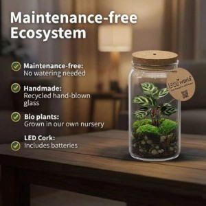 Vdvelde Mini Pflanzen Terrarium (11 cm) aus Glas mit LED-Korkdeckel, grüner Pflanze und Moos. Wartungsfreies Pflanzensystem.
