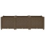 Braunes furnicato Hochbeet (120x40x38 cm) aus Polypropylen mit Rattan-Optik.