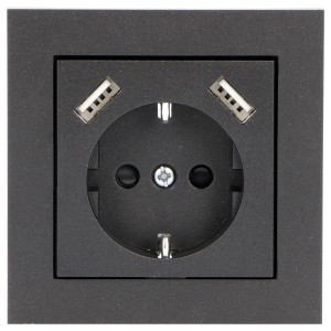 Schwarzer ProCharge Steckdoseneinsatz mit 2xUSB A für gängige Rahmenmarken.