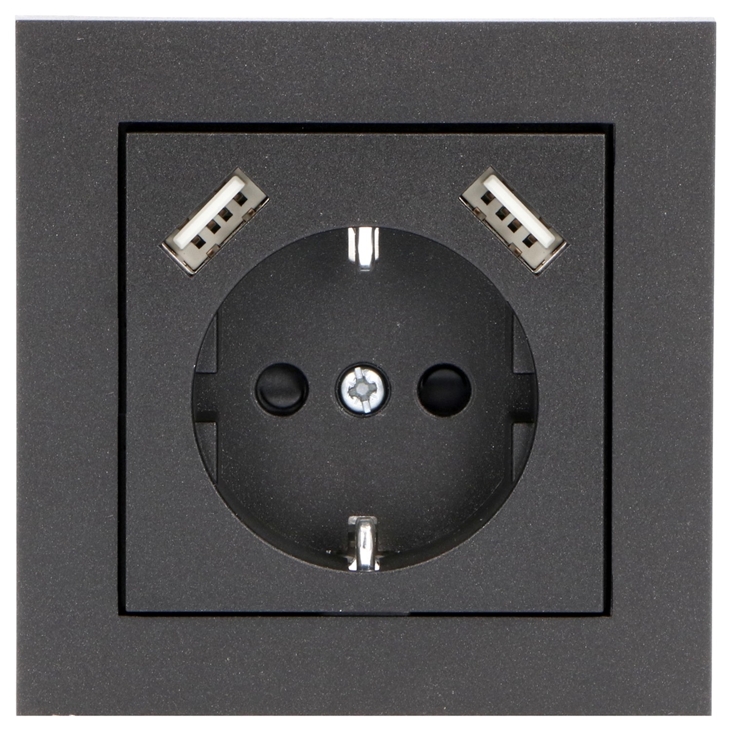 ProCharge Steckdoseneinsatz für ProCharge 2xUSB A Schwarz günstig online kaufen