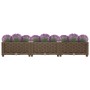 Braunes furnicato Hochbeet (120x40x23 cm) aus Polypropylen mit Lavendel bepflanzt.