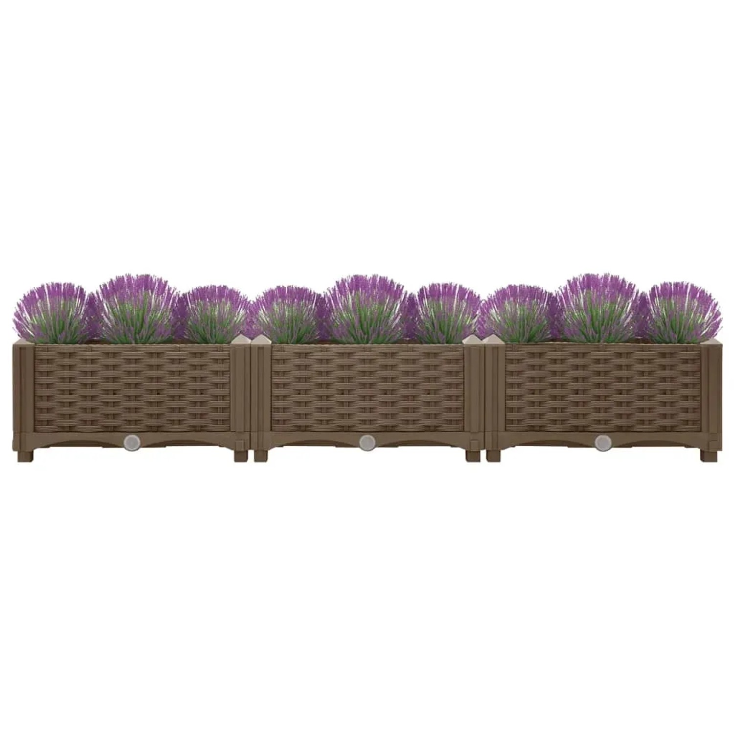 Braunes furnicato Hochbeet (120x40x23 cm) aus Polypropylen mit Lavendel bepflanzt.