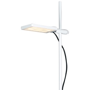 Weiße Luce Design LED-Stehleuchte Book mit schwenkbarem Diffusor, 25x16 cm.