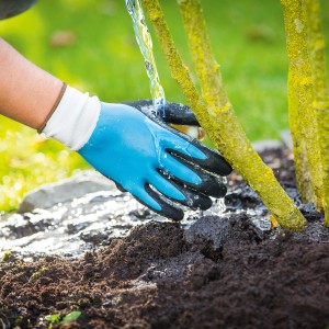 Blaue Gartenhandschuhe Gr. 9 beim Gießen einer Pflanze. Arbeitshandschuhe mit Anti-Rutsch-Beschichtung.