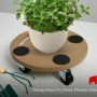 10er Set PROREGAL Transportroller mit 4 Rollen, MDF-Holzplatte, Traglast 100kg, mit Pflanze im Topf.