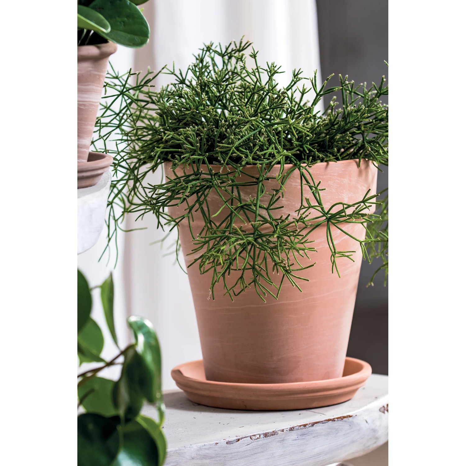 Deroma Outdoor Pflanztopf Alto Duo  22 x 25 cm Wei kaufen bei OBI