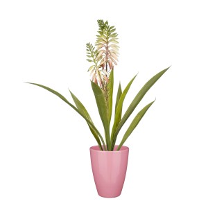 Cremefarbene Mica Kunstpflanze Aloe Vera im rosa Topf, 43 cm hoch.