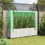 Weißes vidaXL Hochbeet mit Gewächshaus-Aufsatz im Garten.