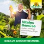 Mann freut sich über Zucchini im Gemüsebeet, Neudorff BioKraft Gemüsestreumittel für gesundes Wachstum.