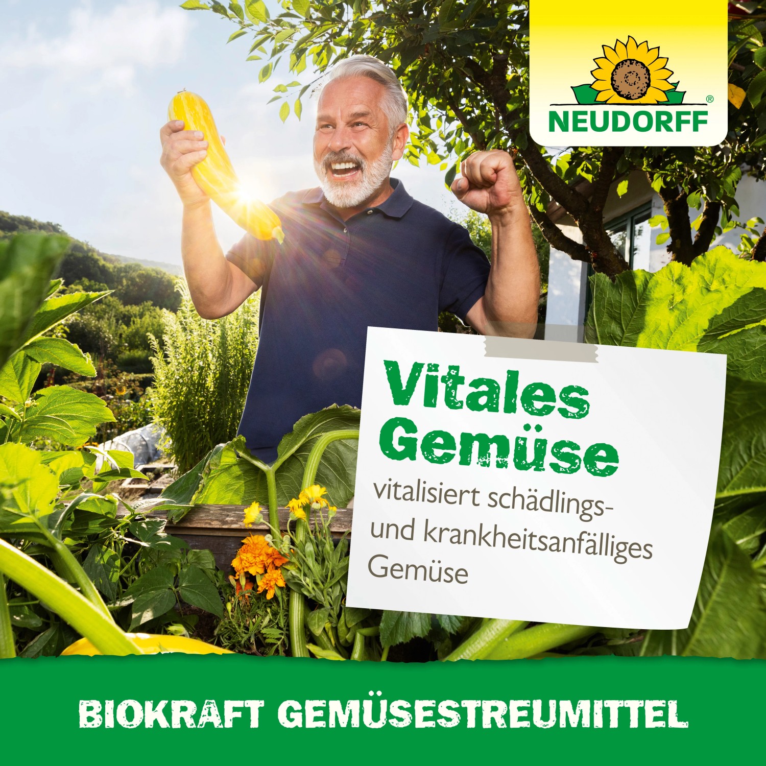 Mann freut sich über Zucchini im Gemüsebeet, Neudorff BioKraft Gemüsestreumittel für gesundes Wachstum.