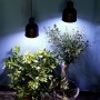 Parus LED-Pflanzenlampe Winter 7W E27 beleuchtet Pflanzen für die Überwinterung.