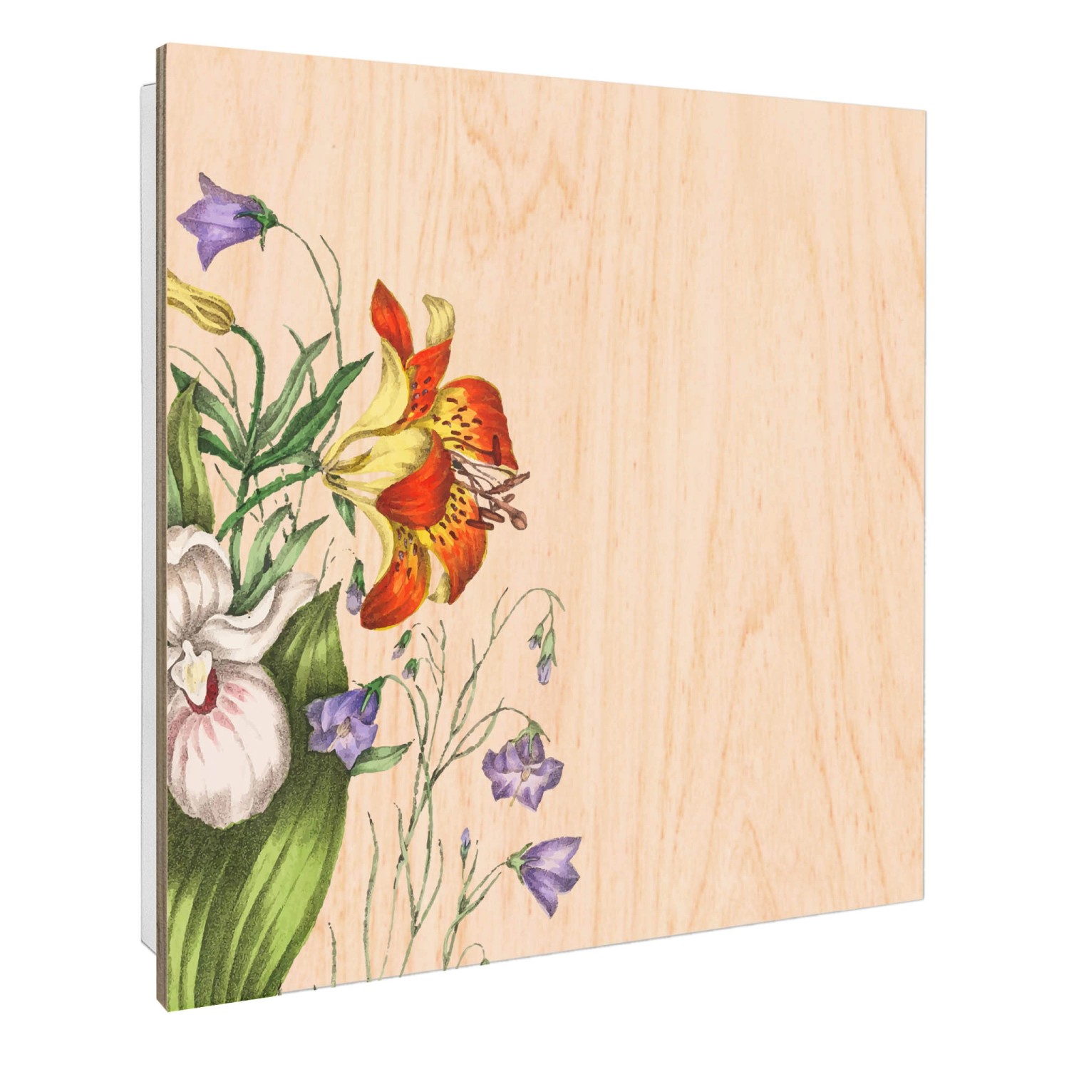 Banjado Großer Schlüsselbox Holz 30x30cm Weiß Scharnier Rechts 50 Haken Sch günstig online kaufen