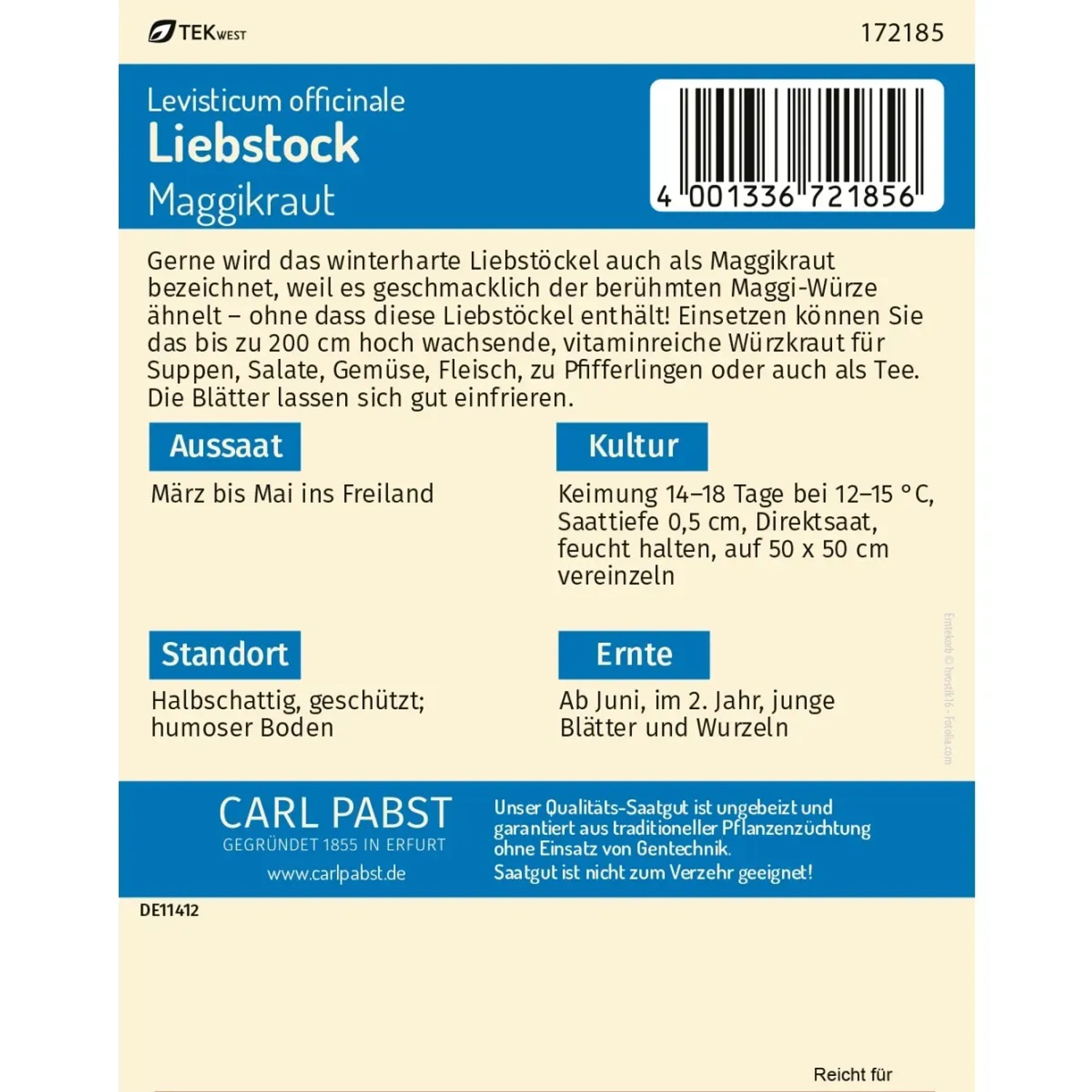 Pabst Keimkraft Liebstock Saatgut, Maggikraut für ca. 50 Pflanzen.