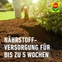Compo Bio Universal-Erde torffrei im Gartenbeet, Nährstoffversorgung bis zu 5 Wochen.