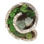 Bellissa Gabionen-Kräuterspirale, kleine Kräuterschnecke bepflanzt mit verschiedenen Kräutern.