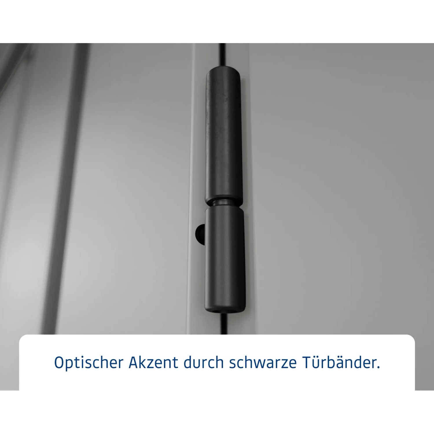Detailansicht: Schwarze Türbänder am Hörmann EcoStar Gerätehaus Euroline.