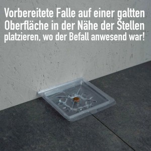 Futura Silberfischfalle auf Fliesenboden und Wand, gebrauchsfertig zur Insektenbekämpfung.