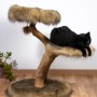 Dobar Design Katzenmöbel Jimmy mit Katze, Kratzbaum mit Liegeflächen und Kratzsäule.