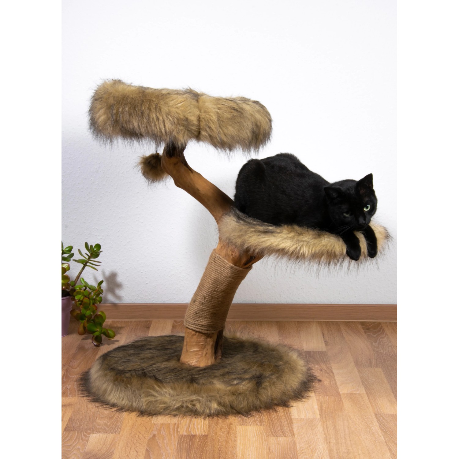 Dobar Design Katzenmöbel Jimmy mit Katze, Kratzbaum mit Liegeflächen und Kratzsäule.