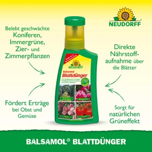 Neudorff Balsamol Blattdünger 250ml für kräftige Pflanzen und gesundes Wachstum.