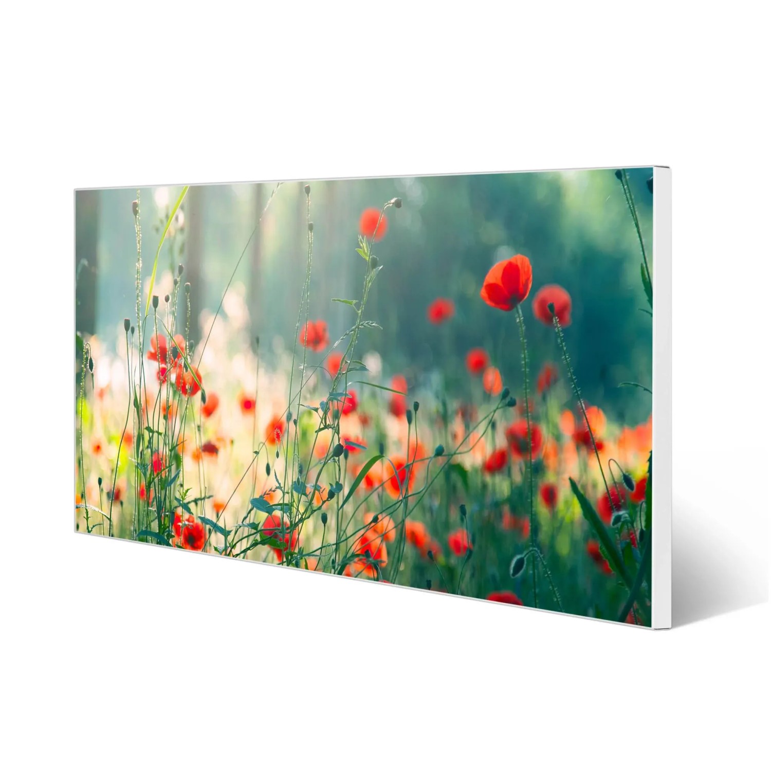 Banjado Magnettafel 78x37cm Magnetwand  Weiß Aus Metall Magnetpinnwand Pinnwand Inkl. 4 Magnete Motiv Waldmohn_2