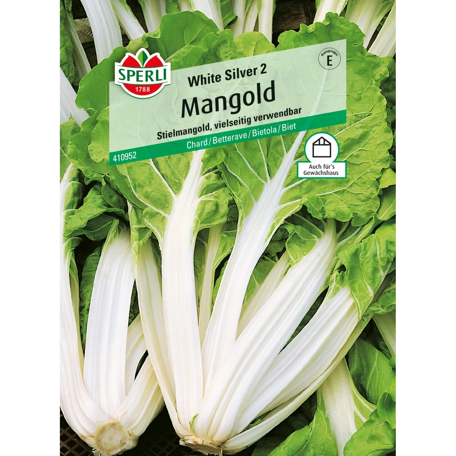 Sperli Mangold "White Silver 2"