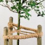 Baum mit Naturbindestrick an Holzpfosten fixiert. Kokosgarn zum Anbinden im Garten.