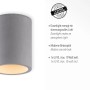 Paul Neuhaus Deckenleuchte Eton in Betonoptik, rund, 11x14cm. Moderne Lampe für Industrial Design.