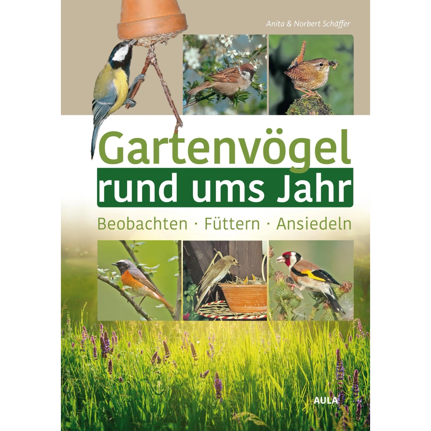 Gartenvögel rund ums Jahr