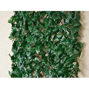 Rankhecke Weide mit grünen Blättern, Sichtschutz für Garten & Balkon, 1x2m.