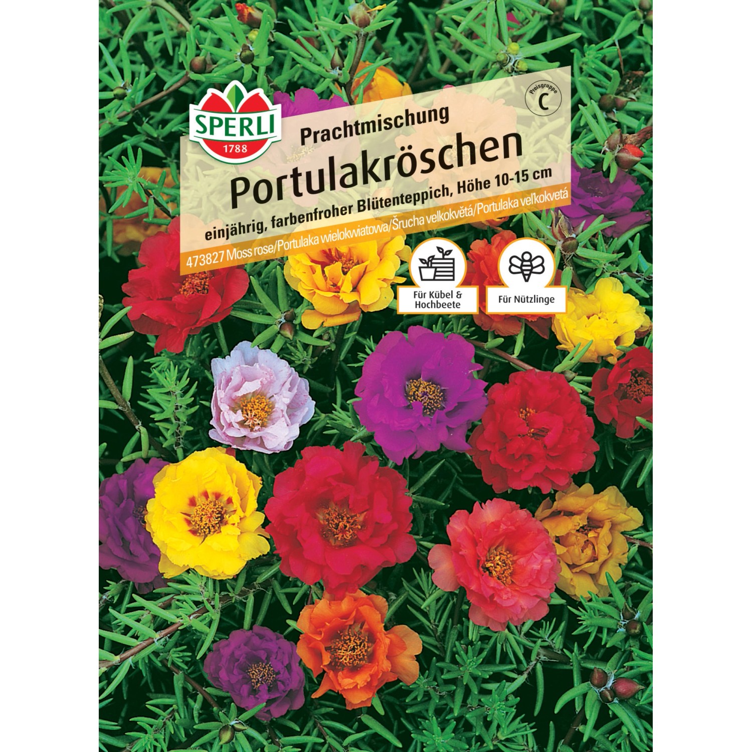 Sperli Portulakröschen Prachtmischung Portulaca grandiflora günstig online kaufen