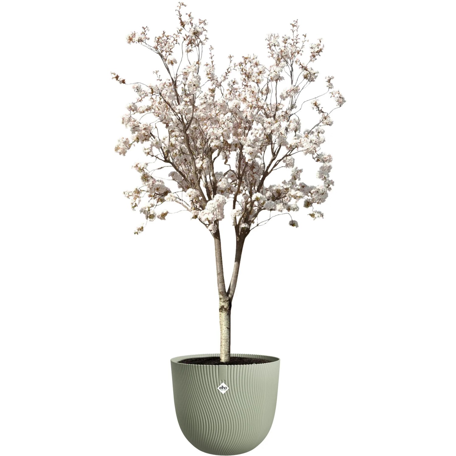 Elho Blumentopf Sereh, Ø 47 cm, grün, mit blühendem Baum. Ideal für Innen- und Außenbereich.