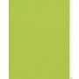 Gardinia EasyFix Rollo, 120x150 cm, Apfelgrün: Lichtdurchlässiges Rollo für Fenster, einfache Montage.